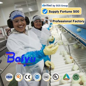 automatic garlic paste production line