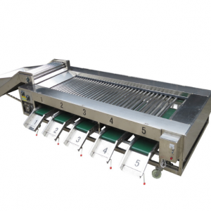vegetable grade machine