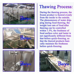thawing machine