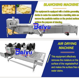 potato chips making machine