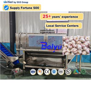 Garlic Peeling Machine Production Line