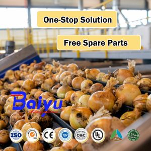 garlic powder production line