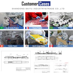 frozen vegetable processing line