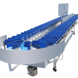 vegetable grade machine2