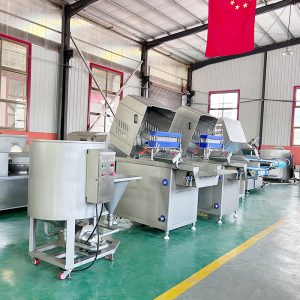 Baiyu Automatic Brine Injector1