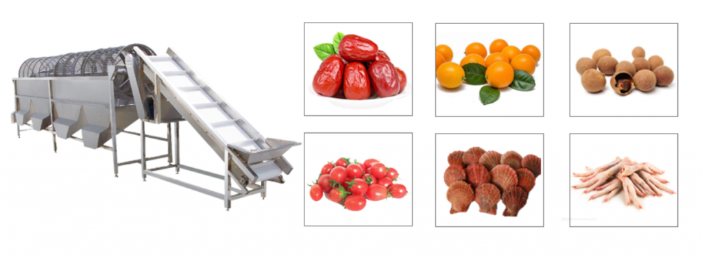 vegetable and fruit grading machine