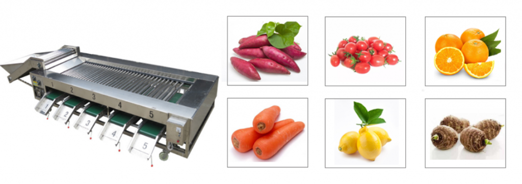 vegetable grade machine
