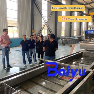 automatic french fries production line