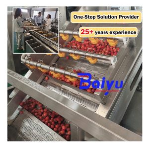 fruit washer machine