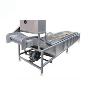 Fruit Vegetable Washing Machine