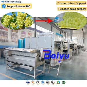 Grape Steam Peeling Machine1