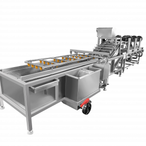 vegetable washing machine